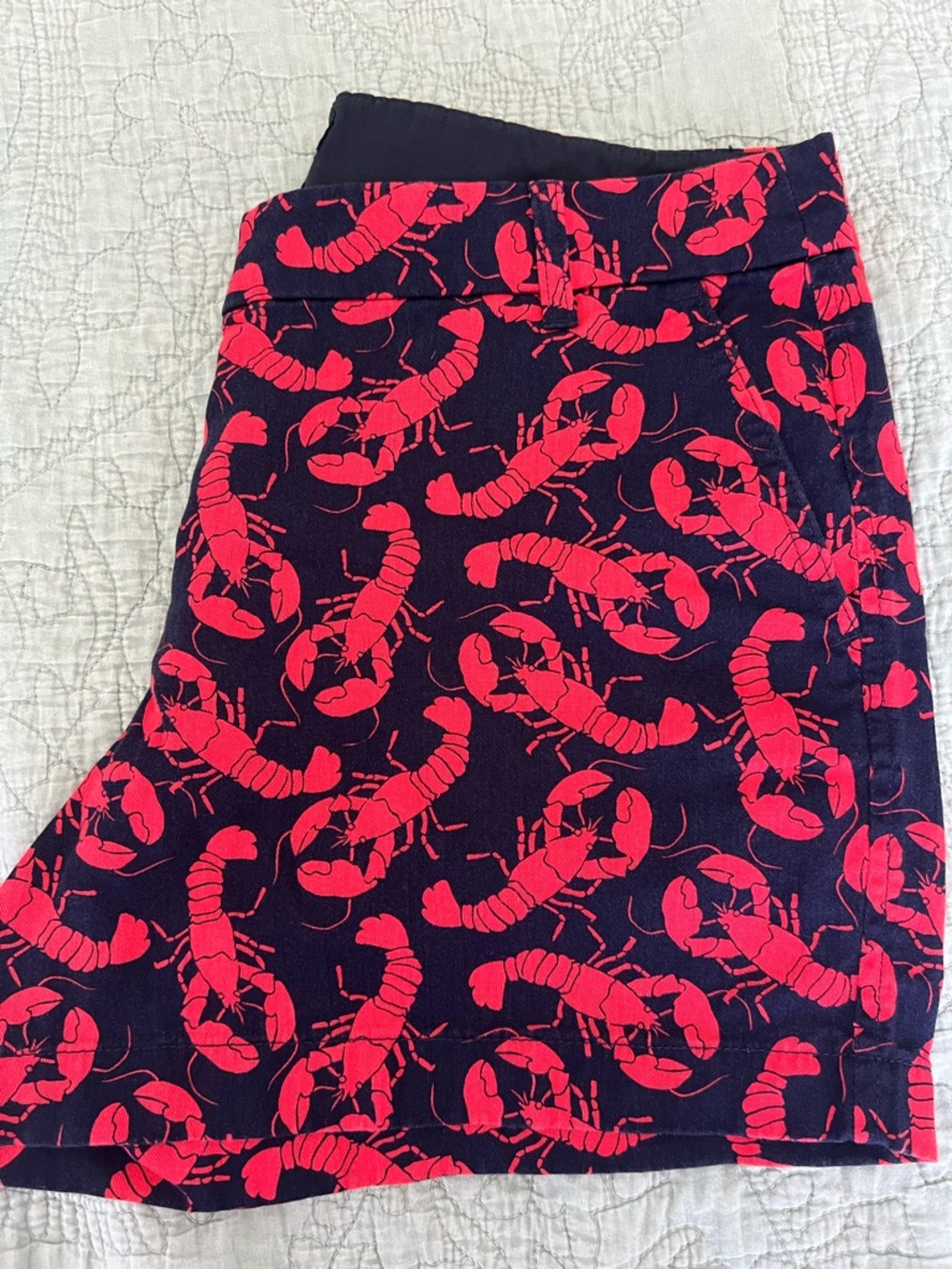 J. Crew Navy Shorts with Red Print